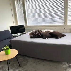  Apartment Sweethome 48 Center аlbertinkatu Finland